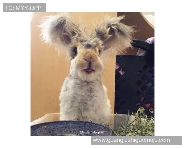 足球明星在球场上的搞笑瞬间合集让你捧腹大笑的尴尬时刻回顾