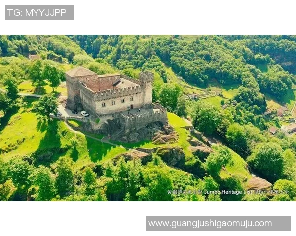 琉森与卢加诺的精彩对决分析及比赛前瞻展望 琉森与卢加诺的精彩对决分析及比赛前瞻展望