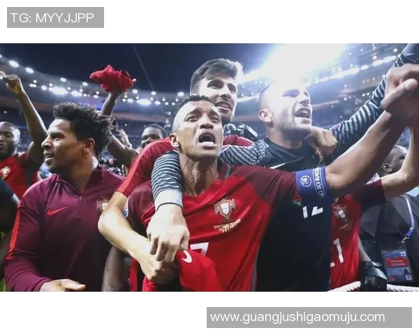 2016年欧洲杯足球赛冠军揭晓葡萄牙队历史性夺冠的背后故事与精彩瞬间