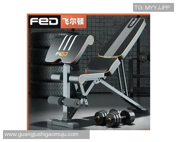 健身器材的价格分析及市场趋势探讨让你轻松选择适合的健身设备