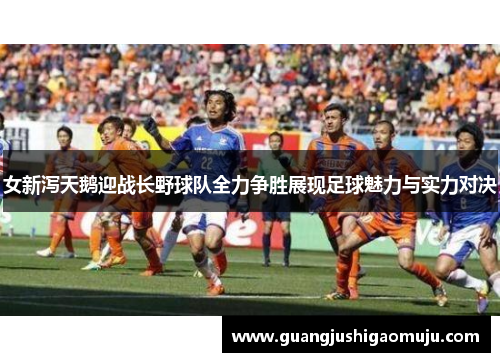女新泻天鹅迎战长野球队全力争胜展现足球魅力与实力对决
