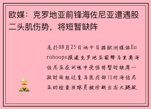 欧媒：克罗地亚前锋海佐尼亚遭遇股二头肌伤势，将短暂缺阵